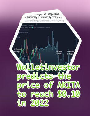 Akita price crypto
