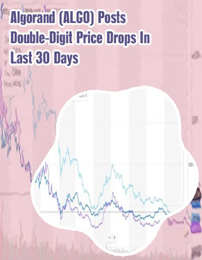 Algo crypto price