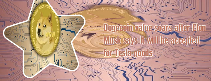 Dogecoin return