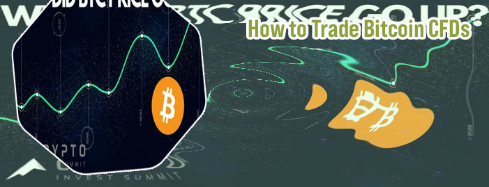 How much did bitcoin go up today