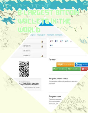 Largest btc wallets