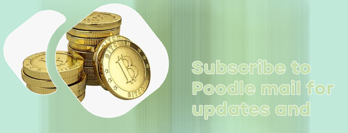 Poodle coin crypto