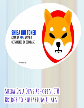 Shiba inu coin crypto