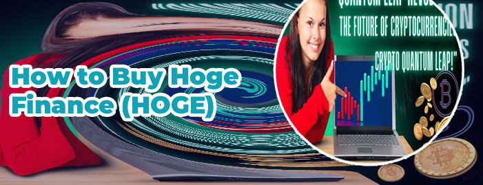 Where can you buy hoge crypto