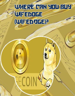 Wife doge crypto buy