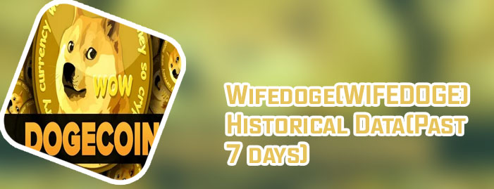 Wife doge crypto price